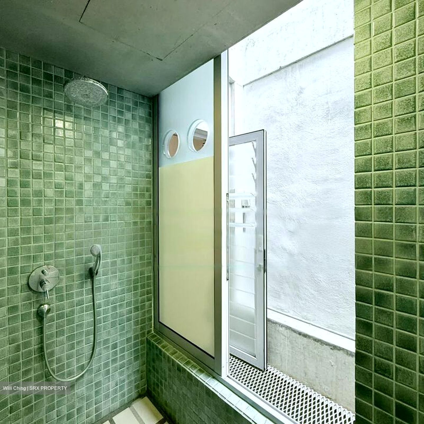 Peakview Estate (D16), Terrace #484219551